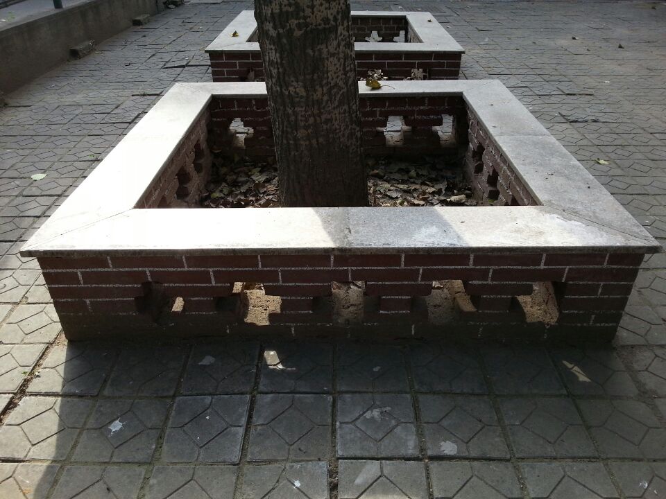 图四方校区校园树坑美化修整工作结束